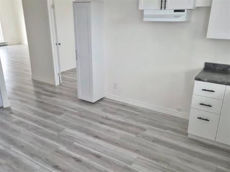 41/2 tou rénové , tout propre