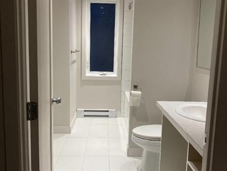 5 1/2 a louer à partir du 01 mai jusqu’au 01 juillet 2026 a saint constant PAS D'ANIMAUX