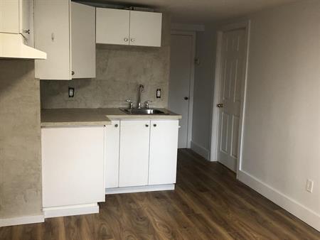 Rouyn-Noranda – Appartement 4 1/2 refait à neuf à louer