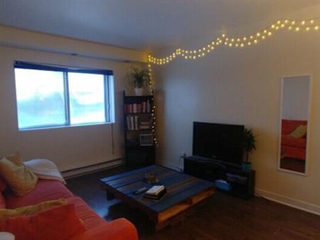 Plateau Mont-Royal – Grand logement 3 1/2 aire ouverte à louer