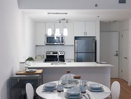 ᐅ Montreal – Ville-Marie – 3 1/2 Upscale Brand New Downtown Condo Apt for Rent