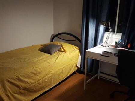 Montréal – Rosemont – La Petite Patrie – Beau logement 4 1/2 à partager