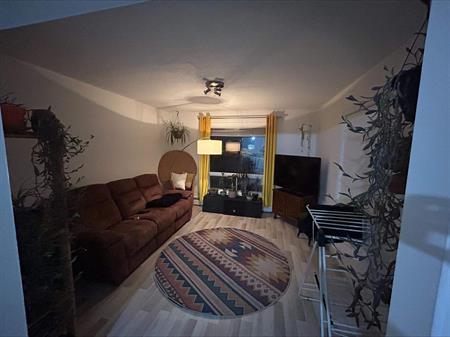 2 CH - 1 SDB - Windsor - $950 /mo