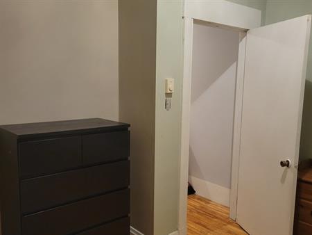 Havre De Paix Dans Le Coeur Du Mile-End