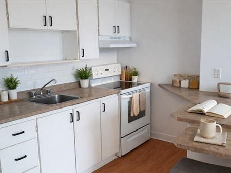 4 ½ LIBRE LE 1ER JUILLET À ALMA