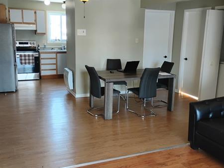 Appartement 4.5 Piece 983 $ Par Mois