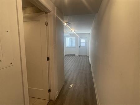 Studio Complètement Rénové, Propre Et Lu