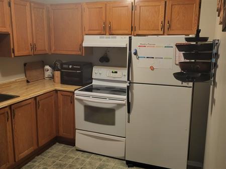 Recherche Coloc Dans Beau 4 1/2