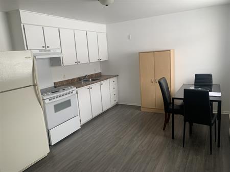 ,Apt1CH.chau.écl.poêl/frigo.statt.