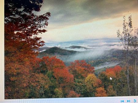 41/2 A louer Ste- Adèle