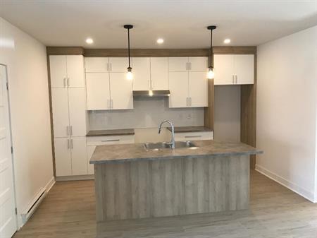 Vaste 4 1/2 de 1200 p2 à louer dans le Vieux Terrebonne