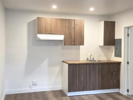 3.5 TRÈS GRAND - DISPONIBLE