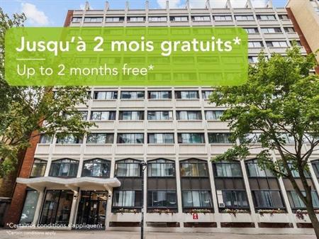 Bachelor - 3455 Durocher, Montréal