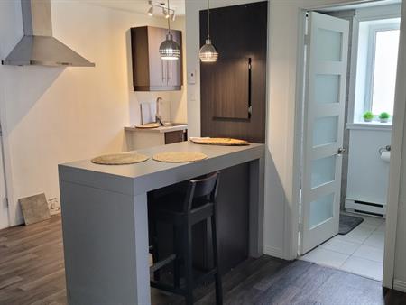 Rénové, Chic Et Urbain – À 500 M RIVIERE