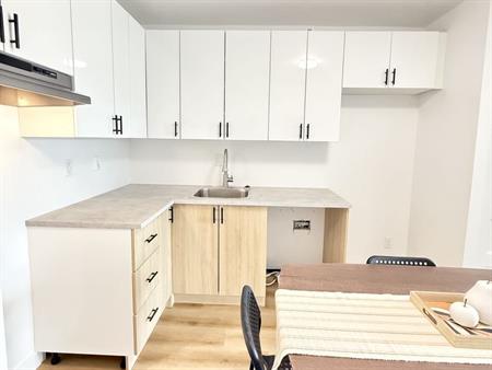 3 1/2 Refait à Neuf ! 1er Janvier 2026