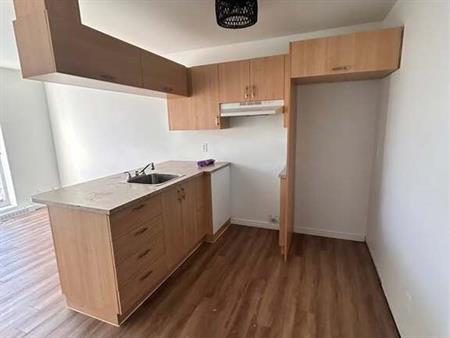 Spacieuses Unités De Studio Et 3 1/2