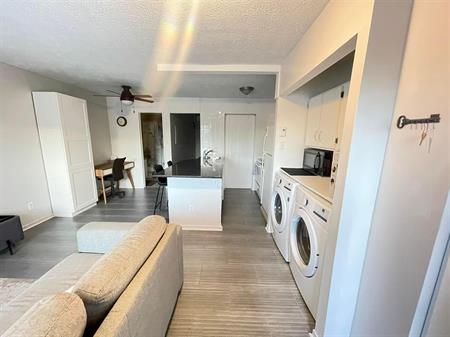 Immeuble - 525-533 Rue Cliff 3 1/2 Meublé à Louer