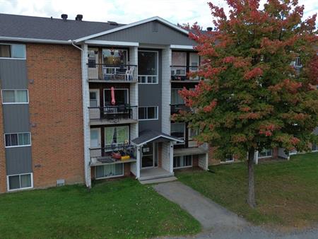 BEAU 3½ | INTERNET INCLUS |MONT-BELLEVUE