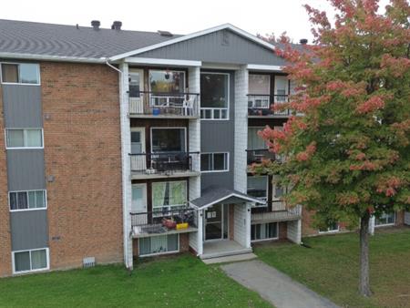 BEAU 3 ½| MONT-BELLEVUE|INTERNET