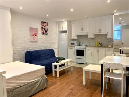 Downtown Small Furnished Studio For Rent