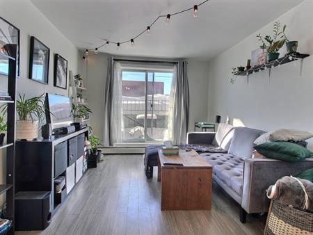 ✨DISPONIBLE DÉS MAINTENANT ✨