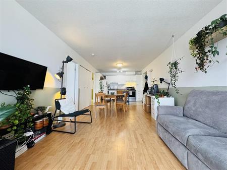 Antoine-du Verdier Appartement 3 ½ à Louer Sainte-Foy / Sillery Juillet 2026