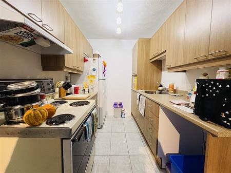 Pie XII Appartement 3 ½ à Louer Sainte-Foy / Sillery Juillet 2026