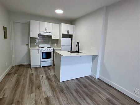 1 Bed, 1 Bath - 5576 Rue Saint-Denis, Montréal