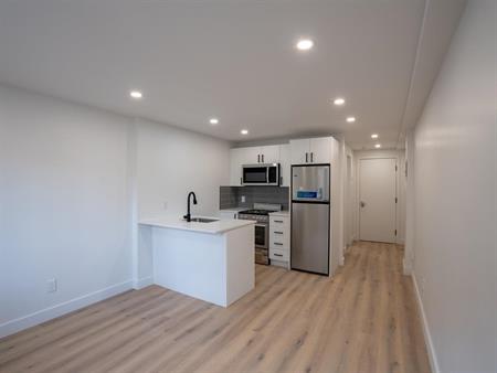 1 Bedroom - 3915 Rue Masson, Montréal