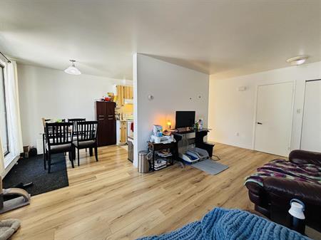 Vincent-Chagnon Appartement 4 ½ à Louer Juillet 2026