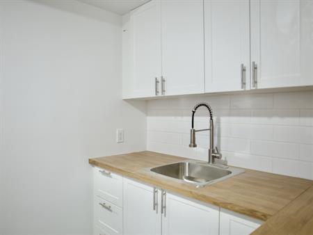 Appartement Rénové 1 Chambre à Louer