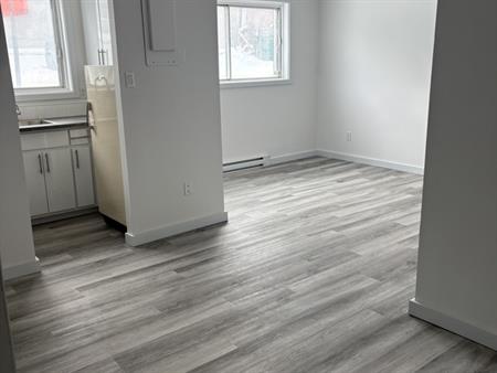 3 1/2 Laval Des Rapides Metro Concorde