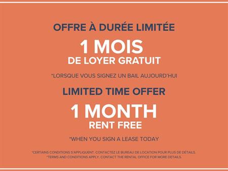 Bachelor Available At 1350 Du Fort Street, Montreal - 1350 Du Fort Street, Montréal