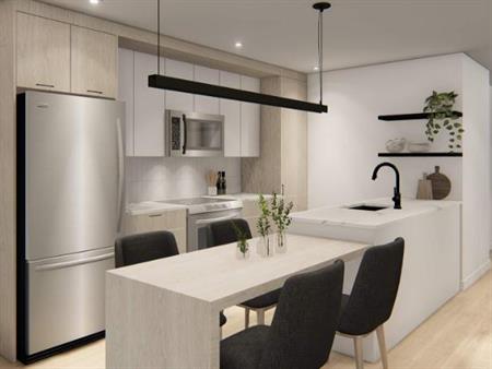 1 CH - 1 SDB - Sainte-Agathe-des-Monts - $1,275 /mo