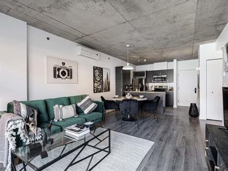 SPACIOUS 1 BED/ 1 BATH APARTMENT IN DOWNTOWN MONTREAL