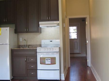 SUPER 3 1/2 ENSOLLEILLÉ COMPLETEMENT RENOVÉ 5 MNTS DE DE TOUT