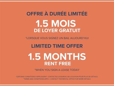 1 Bedroom Available At 5460 Sunnybrooke Avenue, Côte Saint-Luc - 5460 Sunnybrooke Avenue, Côte-Saint-Luc