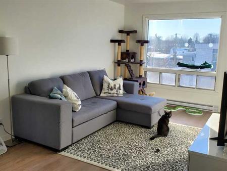 ⚠️ 4 ½ DISPONIBLE 1 ERjuillet ⚠️