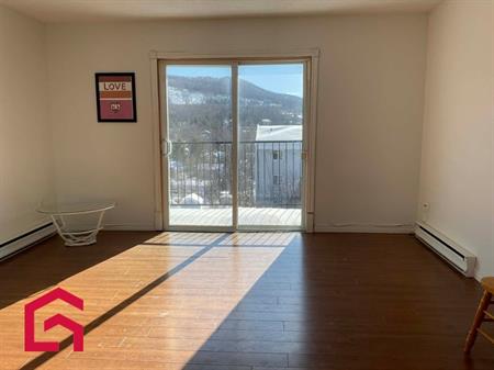 Appartement Bromont À Louer