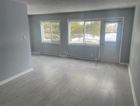 Cessation De Bail Urgent Initiative