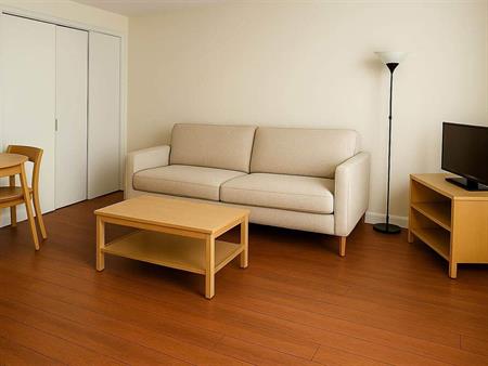 1 CH - 1 SDB - Gatineau - $1,295 /mo