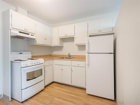 Bright & Spacious 2 ½