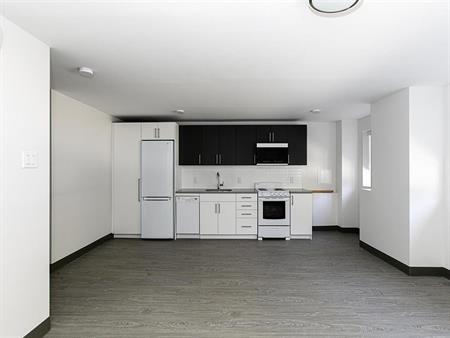 Studio Type 2 - 3605 Rue Saint-Urbain, Montréal