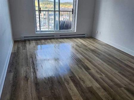 1 CH - 1 SDB - Gatineau - $1,345 /mo