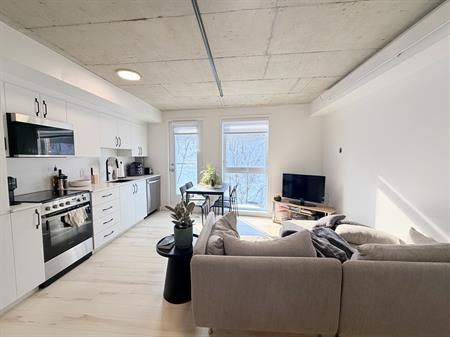 Appart 3 1/2 Moderne Dans Le Vieux Qc