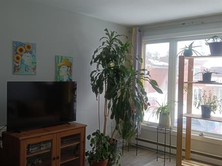 Lumineux Et Spacieux 4 1/2 , 01 Mai.