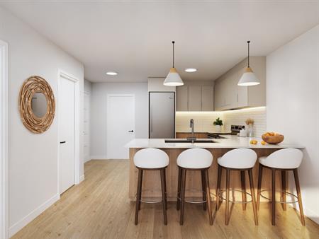 Magnifique 3 Et Demi NEUF à Granby