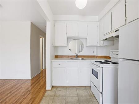 1 CH - 1 SDB - Montréal - $1,000 /mo