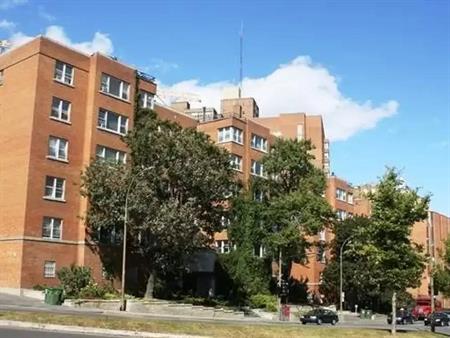 1 Bedroom - 3777 Chem. De La Côte-des-Neiges, Montréal
