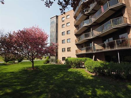 Grand appartement 3 et 1/2 (condo) à louer au coeur du Vieux-Longueuil, semi-meublé.